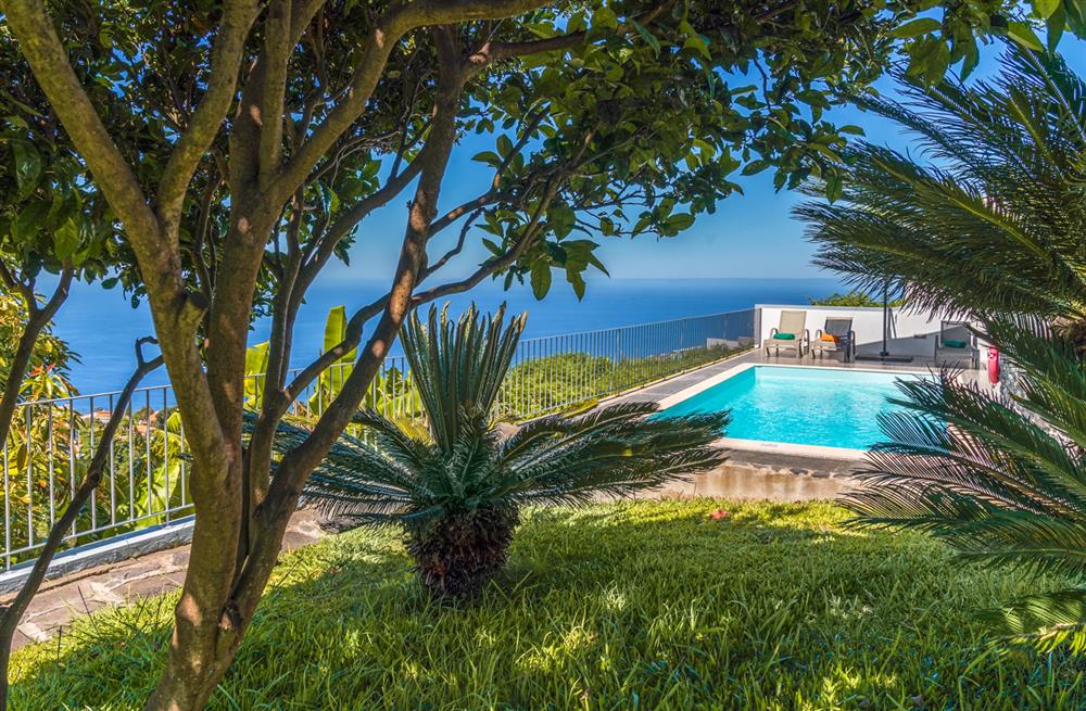 Casa Nobrega (photo 15) at Casa Nobrega in Arco da Calheta, Portugal