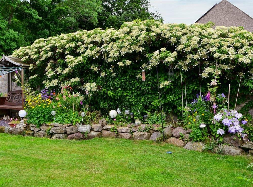 Garden at Casa Nosto in Wooler, Northumberland