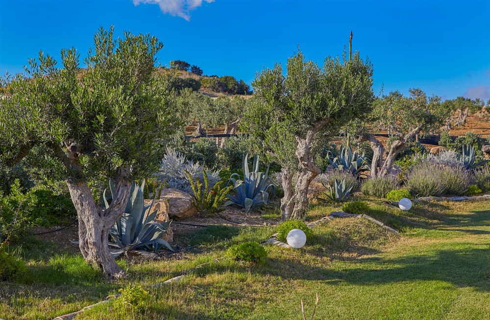 Casa Nubia