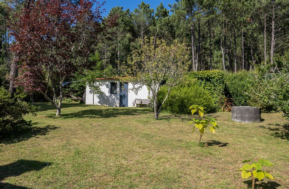 Casa Relajada
