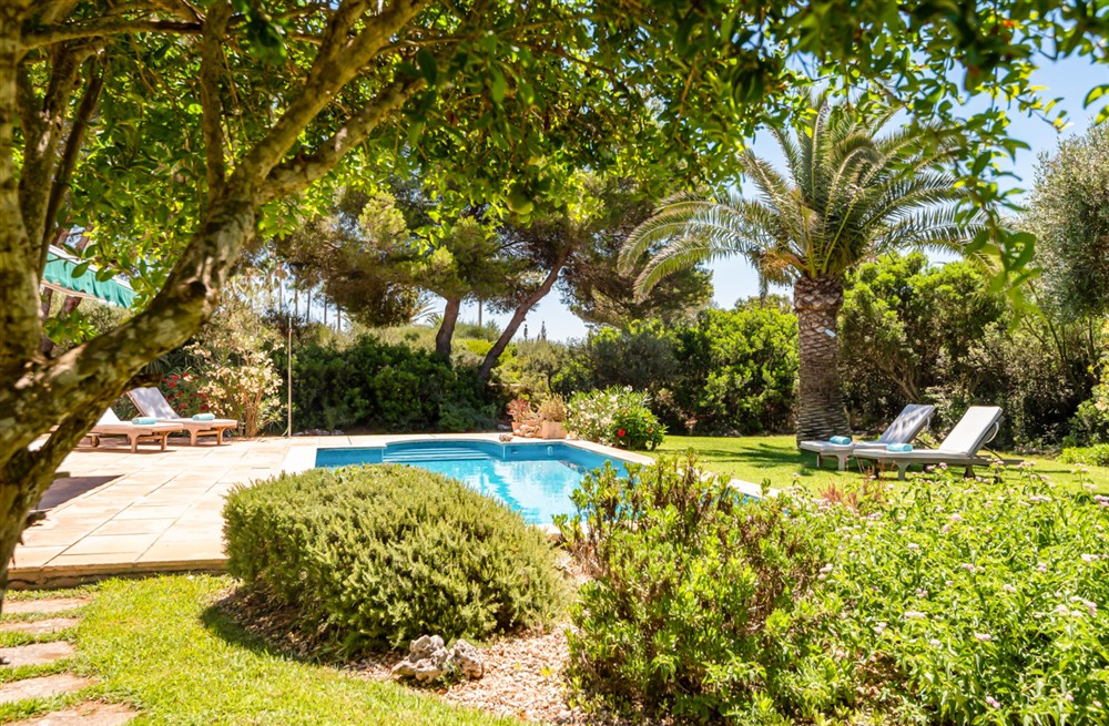 Casa Rosella (photo 20) at Casa Rosella in , Spain