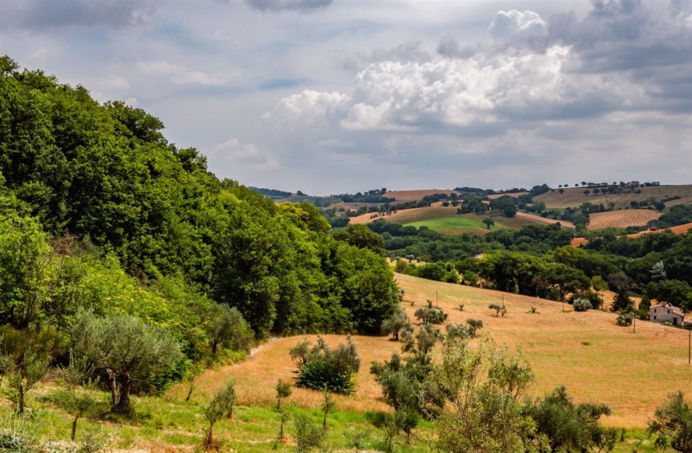 Casale Arcevia