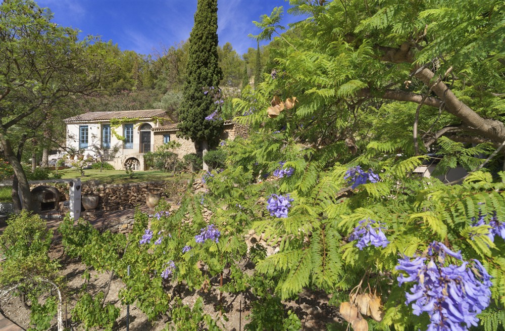 Casita Maria