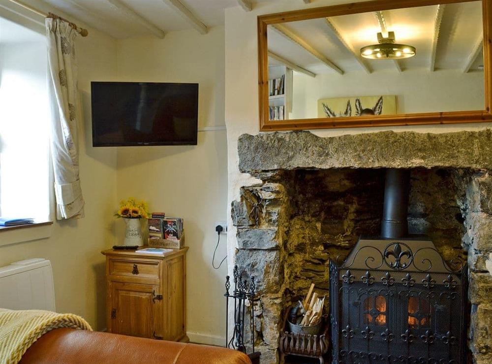 Cosy living area with woodburner at Castiel Cottage in Ysbyty Ifan, near Betws-y-Coed, Gwynedd