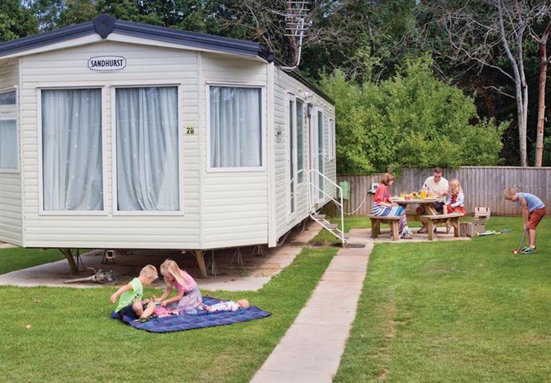 The park setting (photo number 3) at Castle Brake Holiday Park in Devon, South West of England