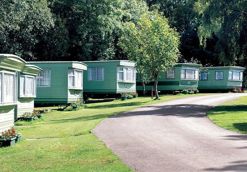 The park setting (photo number 4) at Castle Brake Holiday Park in Devon, South West of England