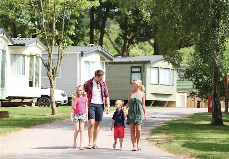 The park setting at Castle Brake Holiday Park in Devon, South West of England