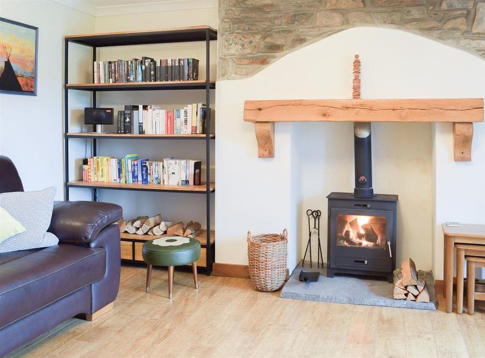 Cosy living room with wood burner at Castle Hill Cottage in Llansteffan, near Carmarthen, Dyfed