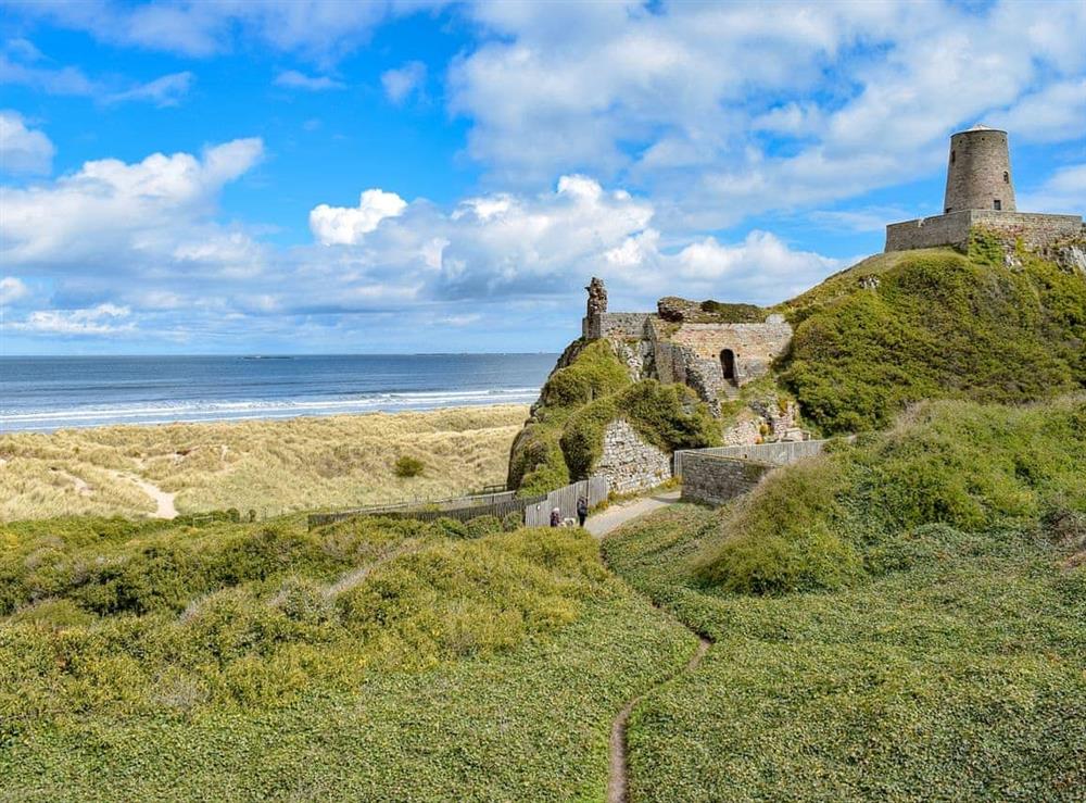 Bamburgh Coastline at Castle View in Beadnell, Northumberland