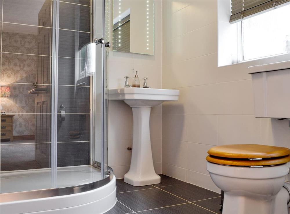 Ideal en-suite shower room at Castle View in Llananno, near Llandrindod Wells, Powys