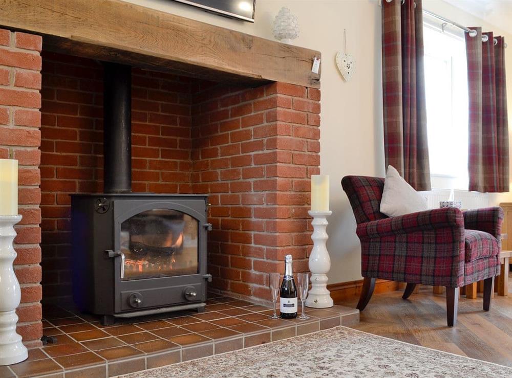 Warm and cosy wood burner at Castle View in Llananno, near Llandrindod Wells, Powys