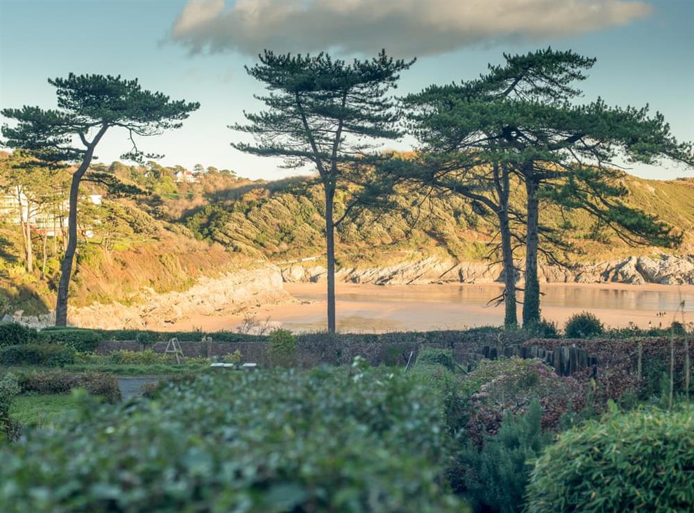 Garden and grounds at Caswell Cliffs in Caswell Bay, West Glamorgan