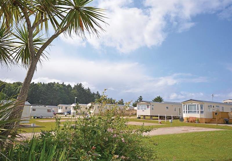 The park setting at Causeway Coast Holiday Park in Ballycastle, Northern Ireland