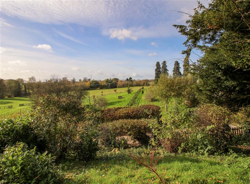 The setting around Caynham Court