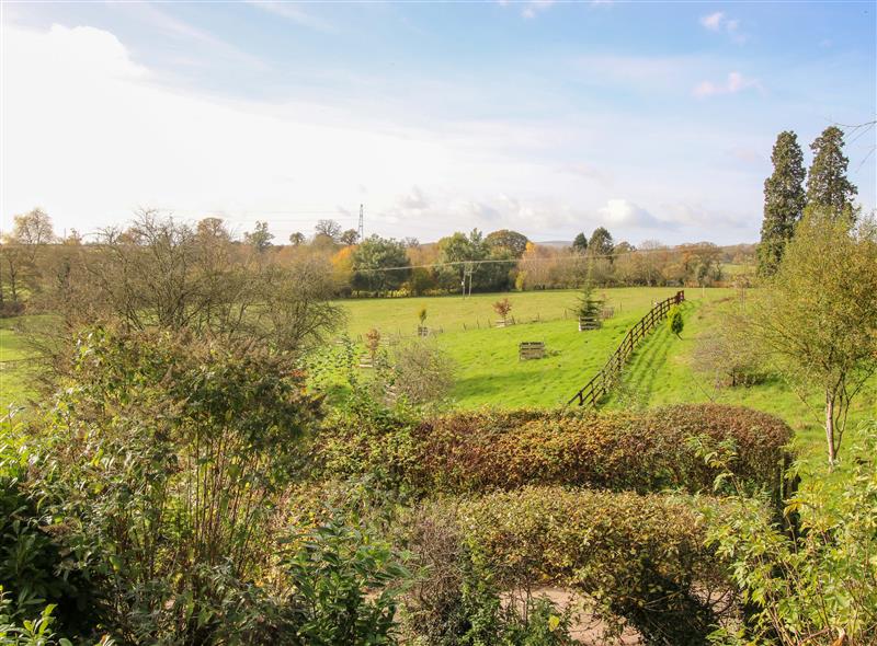 The setting around Caynham Court