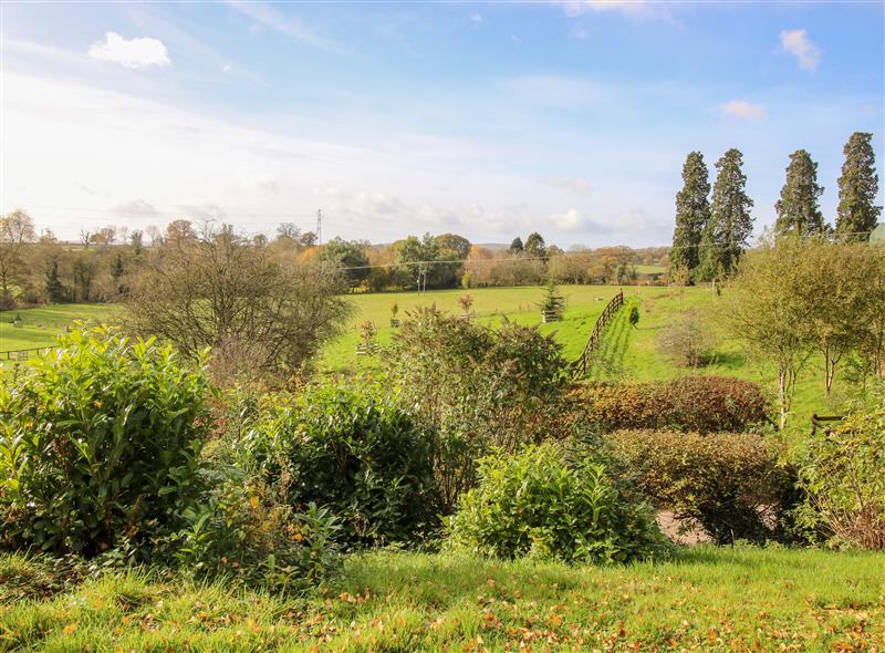 The setting of Caynham Court