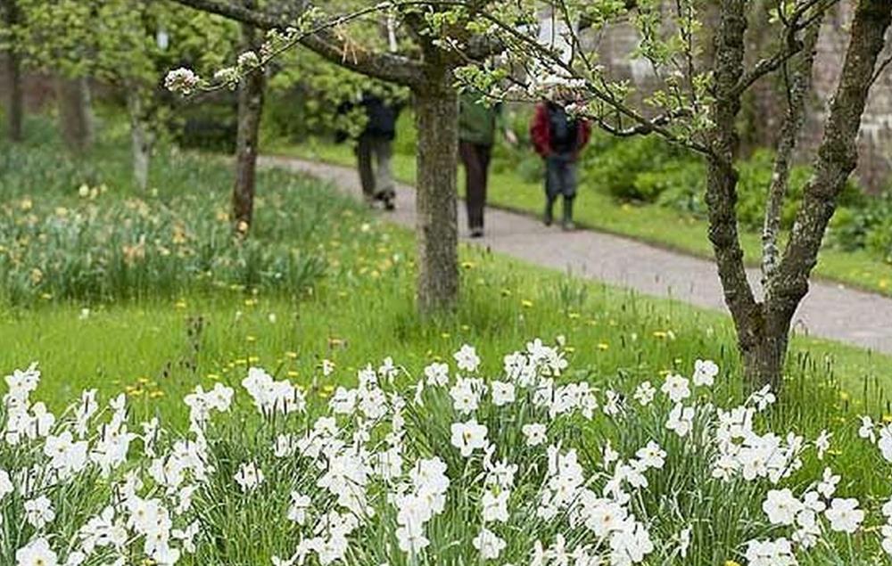 Acorn Bank Gardens in the spring at Cazenovia Hall and Wythburn Cottage, near Greystoke