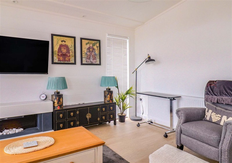 Enjoy the living room (photo 2) at Cedar 1, Pinewood Retreat in Rousdon near Lyme Regis