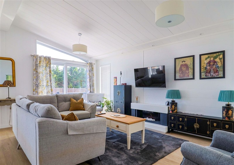 Enjoy the living room at Cedar 1, Pinewood Retreat in Rousdon near Lyme Regis