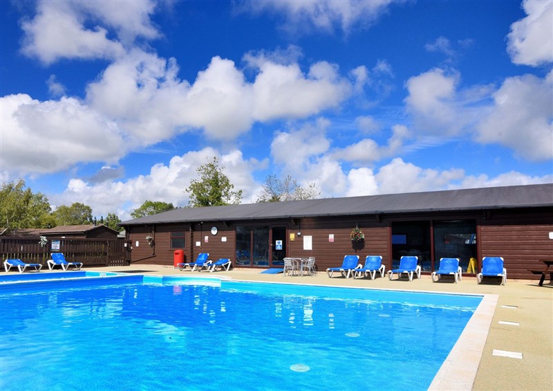 Enjoy the swimming pool at Cedar 1, Pinewood Retreat in Rousdon near Lyme Regis