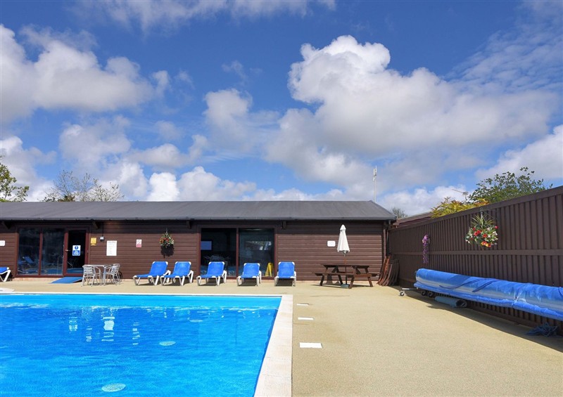 Spend some time in the pool at Cedar 1, Pinewood Retreat in Rousdon near Lyme Regis
