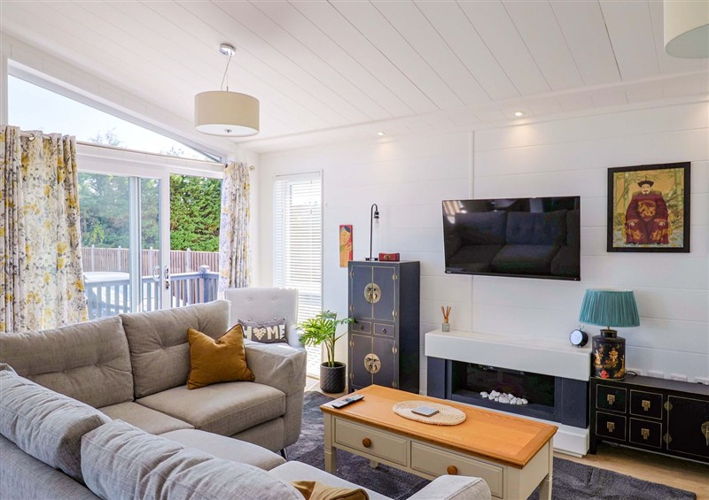 The living room (photo 2) at Cedar 1, Pinewood Retreat in Rousdon near Lyme Regis