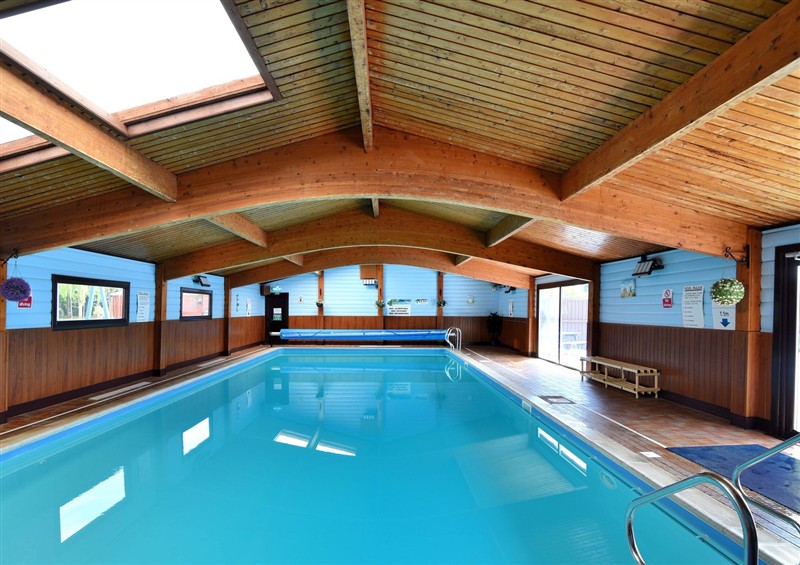 The swimming pool at Cedar 1, Pinewood Retreat in Rousdon near Lyme Regis
