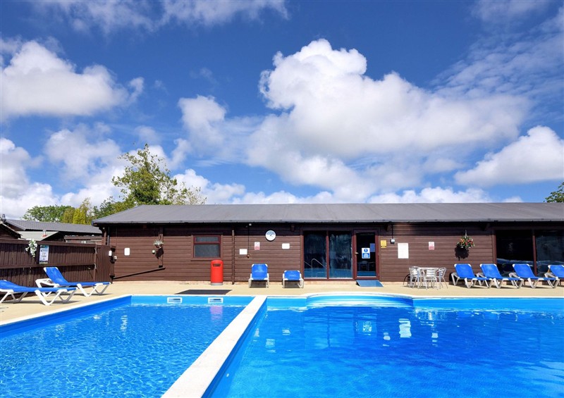 There is a swimming pool at Cedar 1, Pinewood Retreat in Rousdon near Lyme Regis