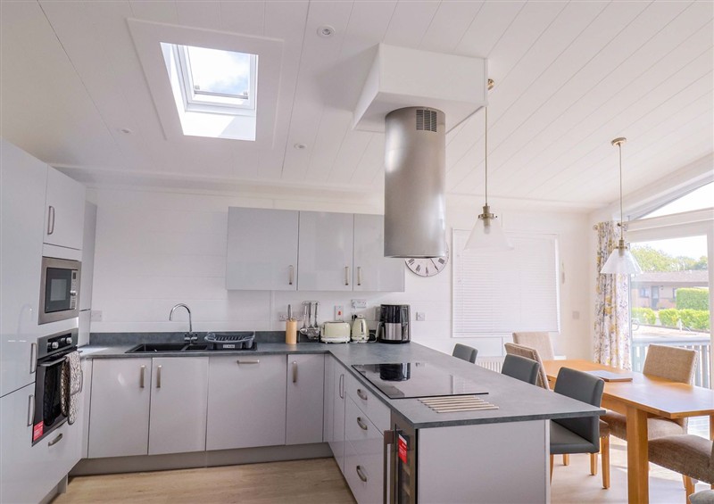 This is the kitchen at Cedar 1, Pinewood Retreat in Rousdon near Lyme Regis