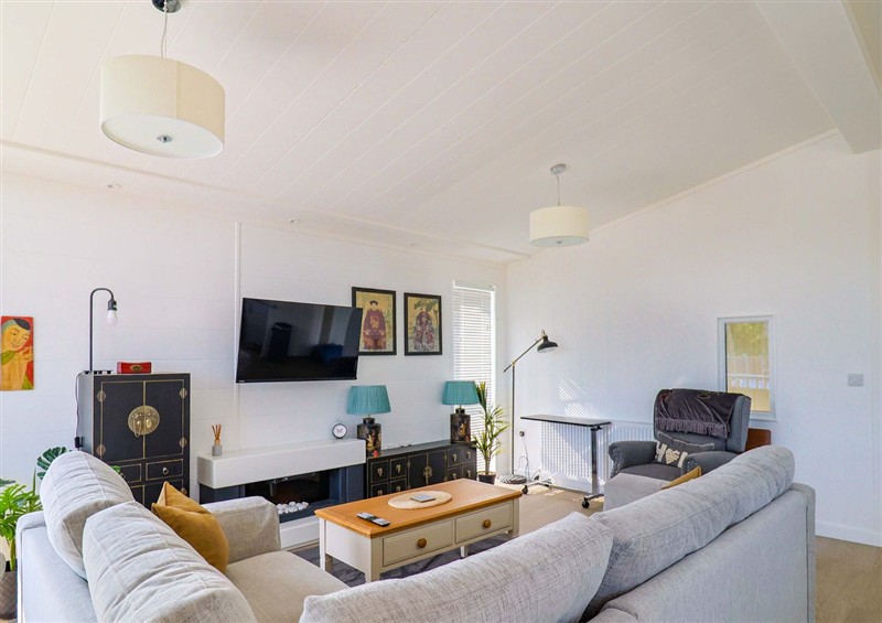 This is the living room (photo 2) at Cedar 1, Pinewood Retreat in Rousdon near Lyme Regis