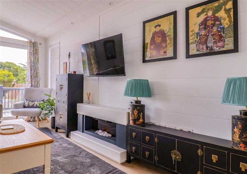 This is the living room (photo 3) at Cedar 1, Pinewood Retreat in Rousdon near Lyme Regis