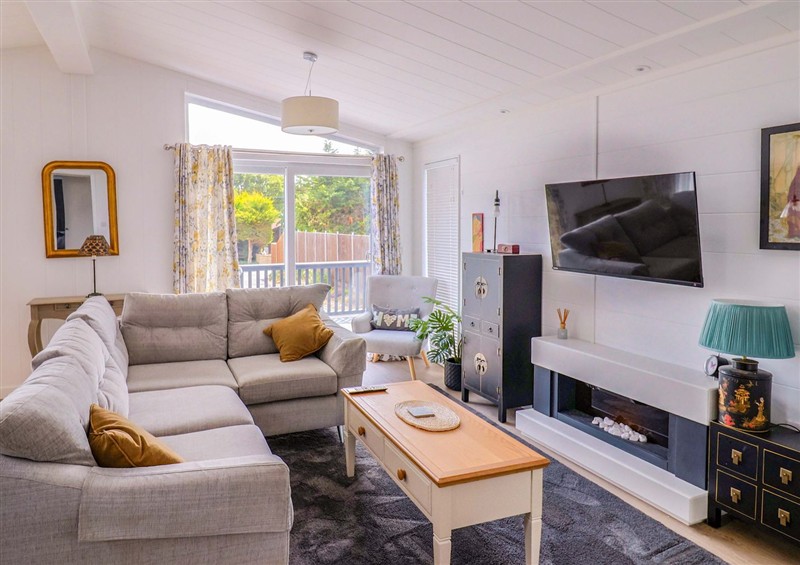 This is the living room at Cedar 1, Pinewood Retreat in Rousdon near Lyme Regis
