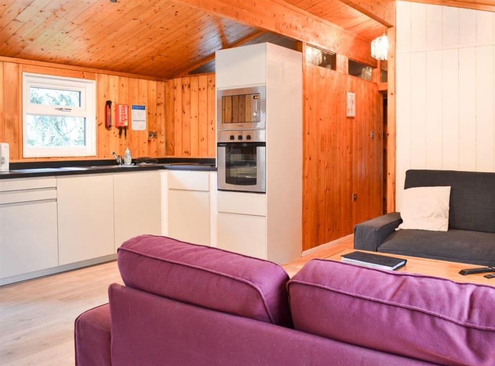 Open plan cabin-style living at Cedar Lodge in Charlcot, near Masham, North Yorkshire