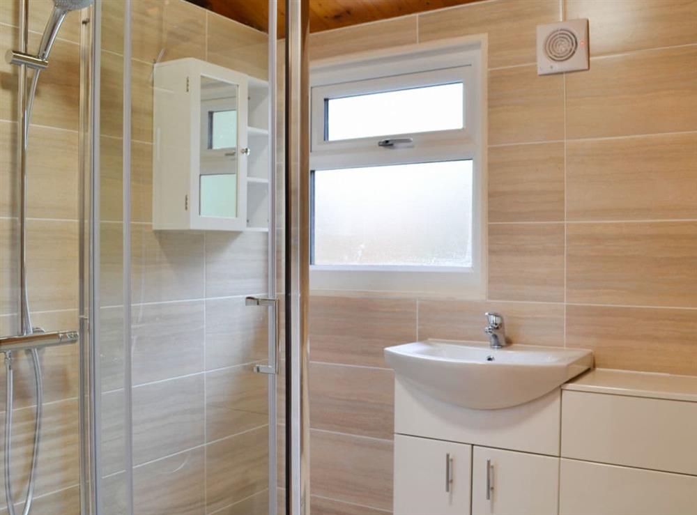 Splendid shower room with cubicle at Cedar Lodge in Charlcot, near Masham, North Yorkshire