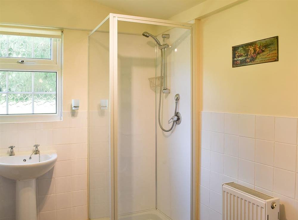 Shower room at Cedar Lodge in Llanfair Talhairarn, near Abergele, Conwy, Clwyd