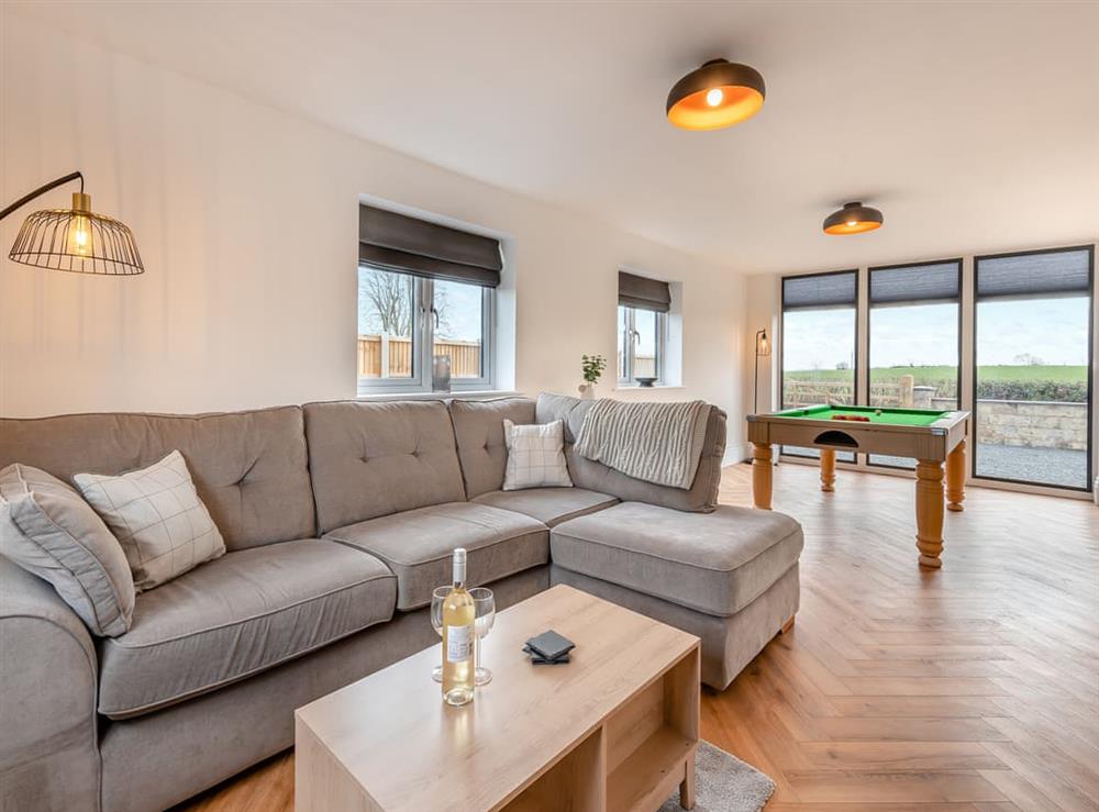 Living area (photo 2) at Cedar Lodge in Pleasley Vale, near Mansfield, Nottinghamshire