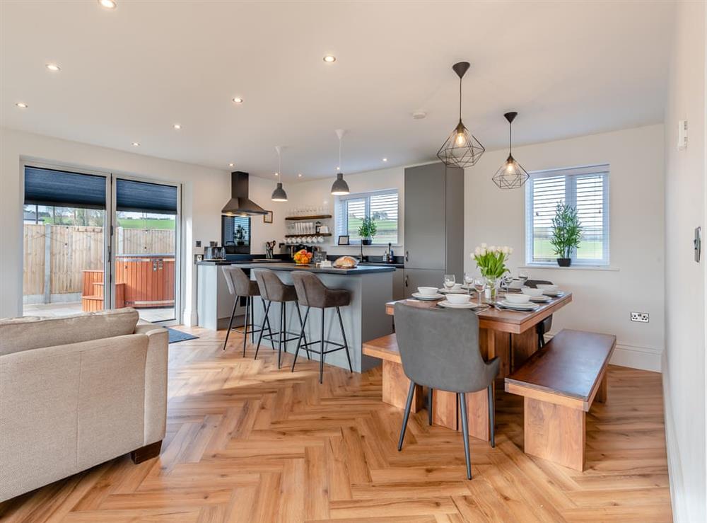 Open plan living space (photo 2) at Cedar Lodge in Pleasley Vale, near Mansfield, Nottinghamshire