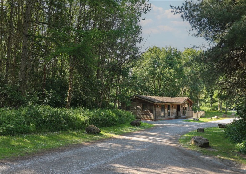 Outside at Cedar Lodge, Rosliston