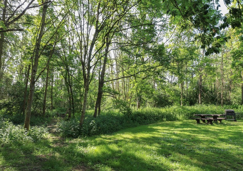 The garden at Cedar Lodge, Rosliston