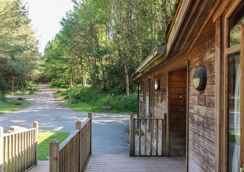 The setting at Cedar Lodge, Rosliston