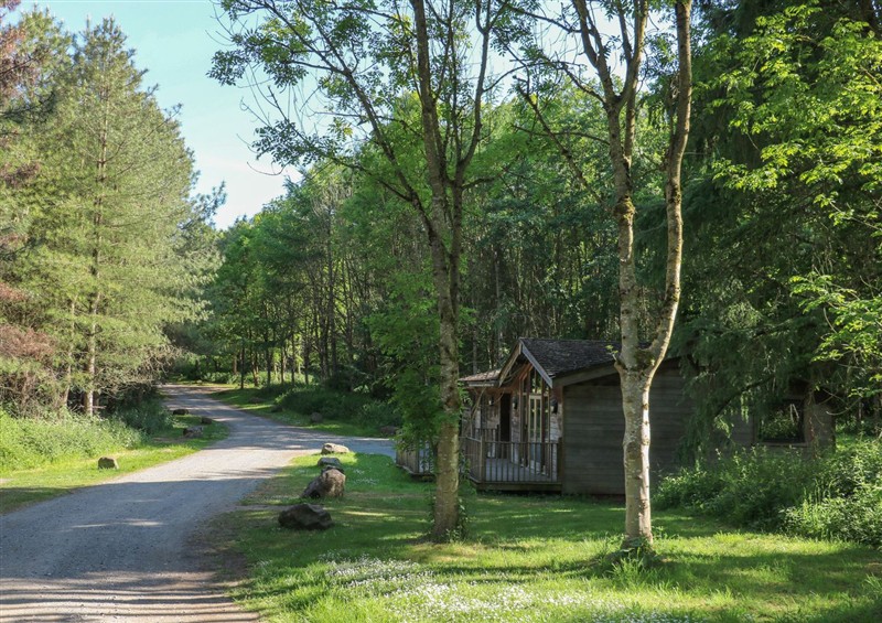 This is the garden at Cedar Lodge, Rosliston