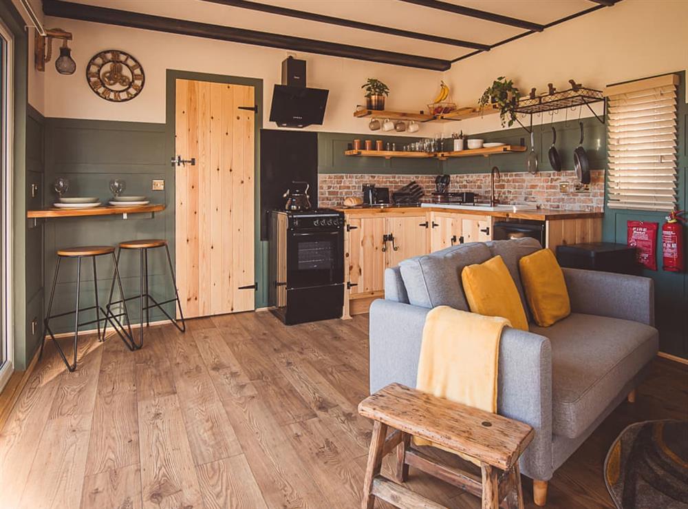 Open plan living space at Cedar Lodge in Sea, near Ilminster, Somerset