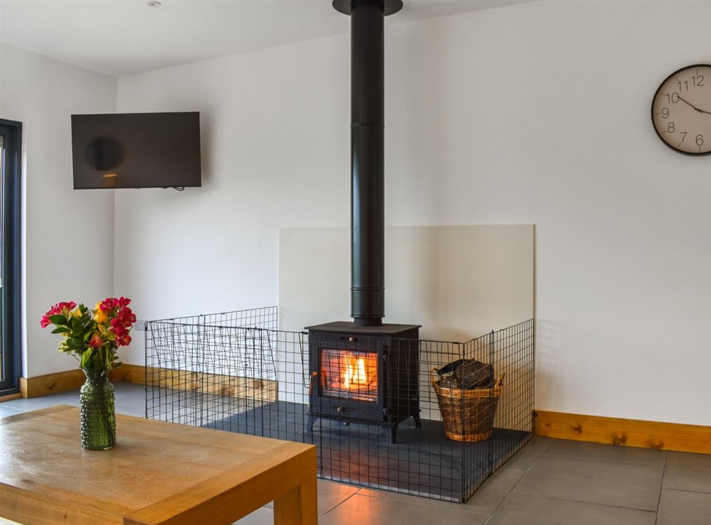 Living area at Cedar Lodge in Walton Presteigne, Powys