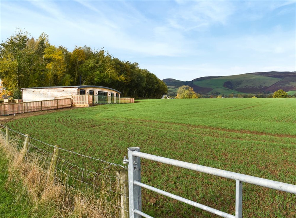 Setting at Cedar Lodge in Walton Presteigne, Powys