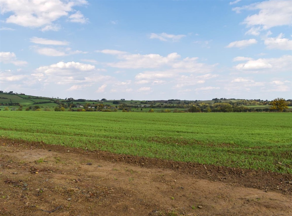 View at Cedar Lodge in Walton Presteigne, Powys