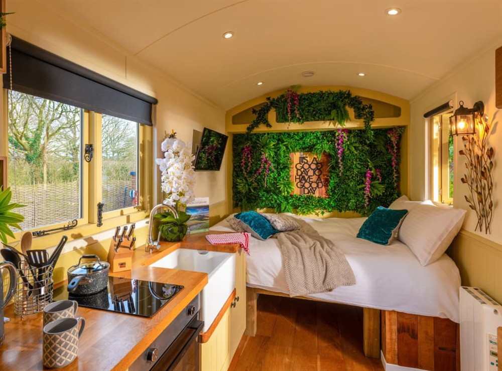 Cedar Lookout, Worcester at Cedar Lookout in Worcester, Worcestershire