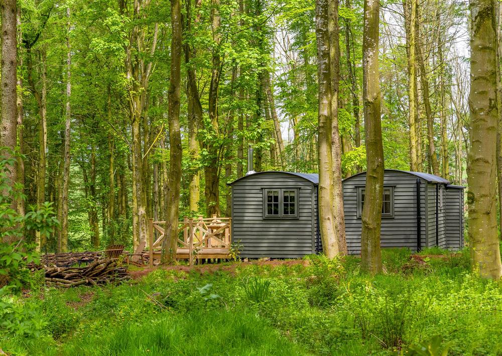 The picturesque woodland setting of Cedar Retreat, Penrith, Cumbria