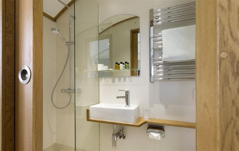 En-suite shower room with walk in shower at Cedar Tree, Cole Henley
