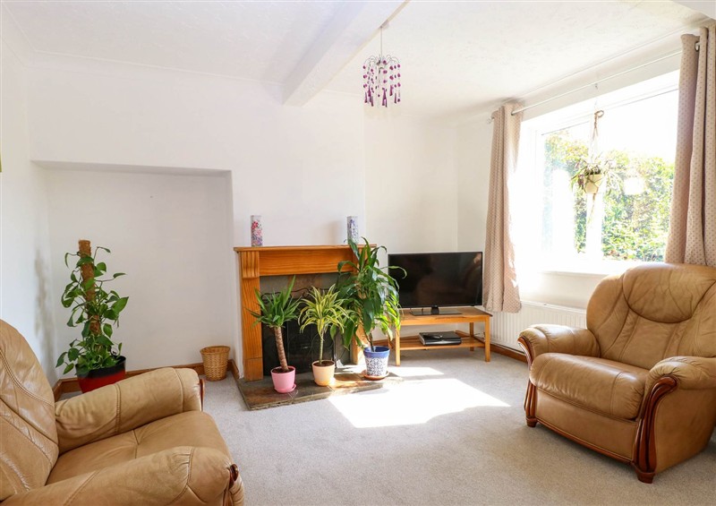 Enjoy the living room at Cedar View, Hainford near Coltishall