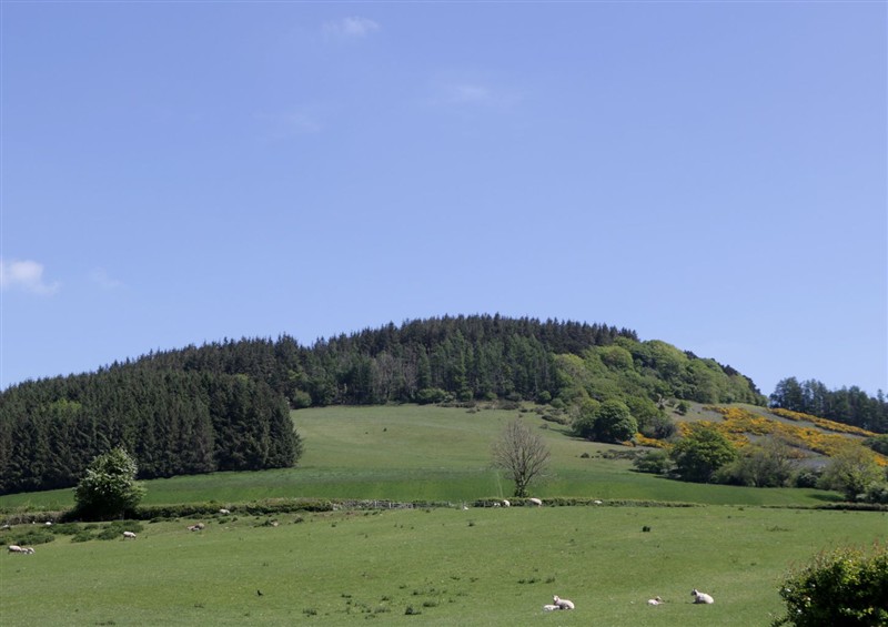 Enjoy the garden (photo 6) at Cefn Campstone, Llanvihangel Crucorney near Abergavenny